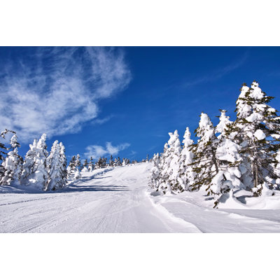 Yokoteyama-Shibutoge Ski Resort by 7maru - Wrapped Canvas Print
