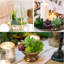 Plantes succulentes artificielles - ensemble de 16 ...
