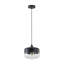 Luminaire suspendu moderne en verre avec abat-jour 1 lumière