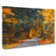Forest Street - Wrapped Canvas-55317202