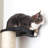 Deveraux Cat Scratching Post Wall Mounted Multiple Sizes-1863427666-1771923047