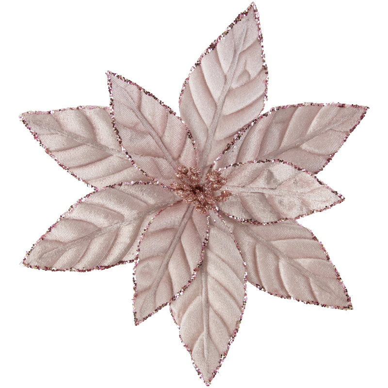 Tiges de poinsettia, Rose