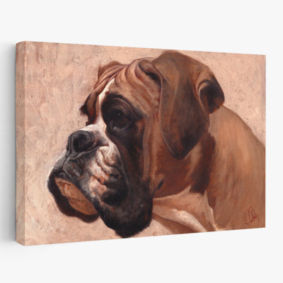 Boxer - animaux, art de chiens