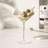 Seneca Diamond Crystal Martini Glasses
