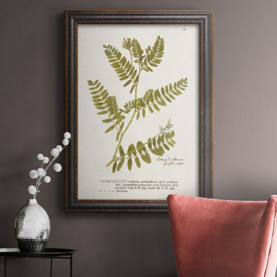 Nature Ferns V - reproduction de cadre photo sur toile