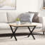 Chetna Coffee Table Legs X-Frame Steel-1428582308