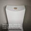 Kohler Persuade Dual-Flush Actuator-226939417