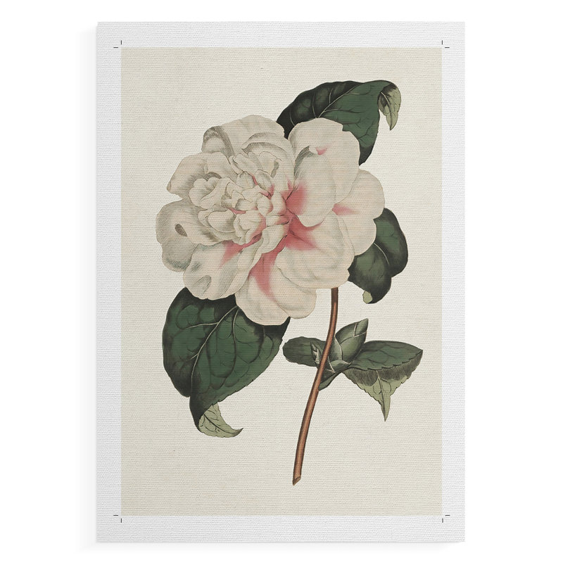 Rose floral mix vii - impression sur toile seulement - non encadré, H 18 po x l 12 po