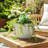 Pottery and Cement Planter with Unique Multi-Loop Handle Design Stylish Contemporary Accent-946573013-946573014