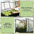 Raised Garden Bed Elevated Plant Boxs
