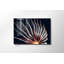 Superbe peinture murale en verre trempé 27,6 po x 39,4 po | 100% verre trempé, épaisseur: 0,16 pouce | Décoration élégante pour le salon ou le bureau, durable et facile à nettoyer, idée de cadeau parfaite-1782649333
