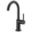 Odin® Bar Faucet with Arc Spout-60131071-60131076