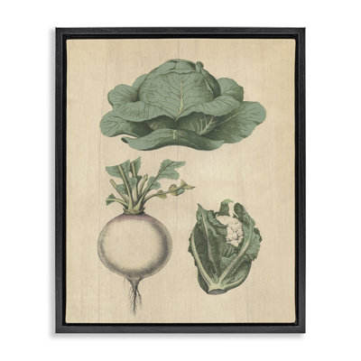  Vintage Garden Vegetables Framed Floater Canvas Wall Art by Daphne Polselli