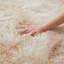Allesha Standard Shag Area Rug-298987532