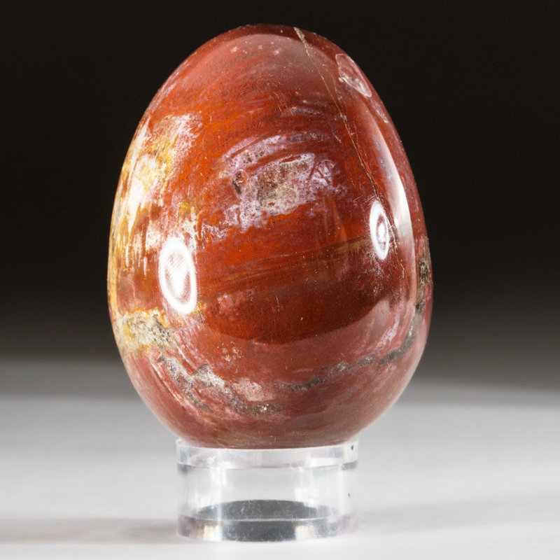 Petrified Wood Egg, Orange/Yellow/Brown, 3" H x 2" W x 2" D