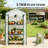 Small Greenhouse,Convenient Mini Greenhouse-123831035