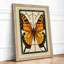 Symmetrical Butterfly Art Deco - Framed Print-1179319293-1179319295