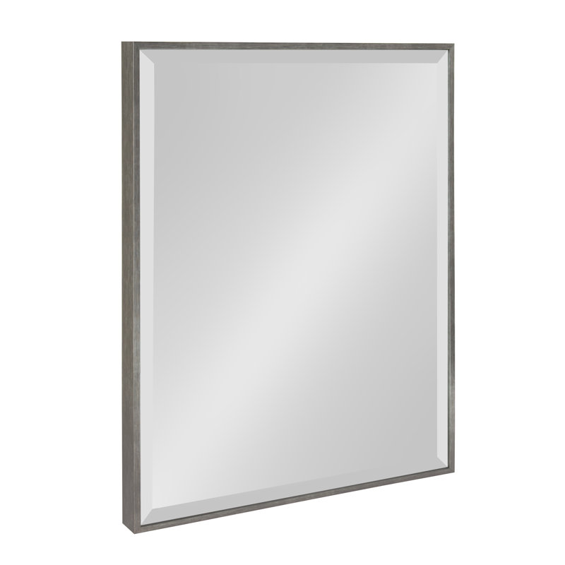 Logsdon Flat Mirror, Dark Silver, 18" x 24"