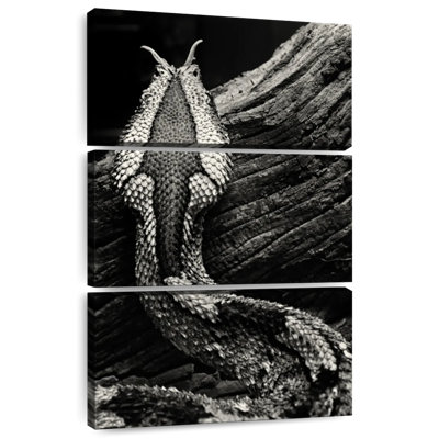 Brampt Monochrome Snake Markings