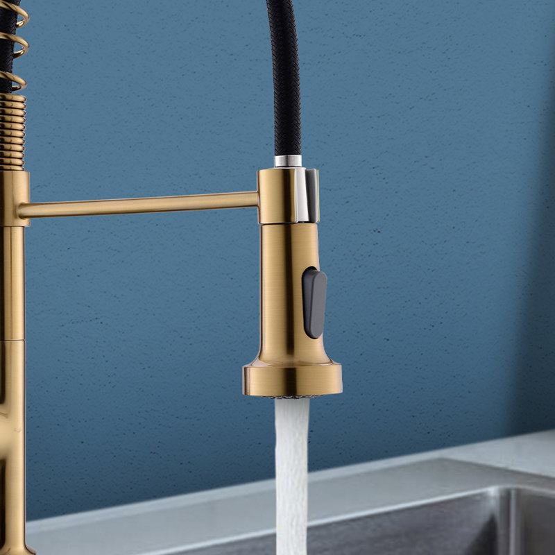Robinet de cuisine à poignée simple Topcraft