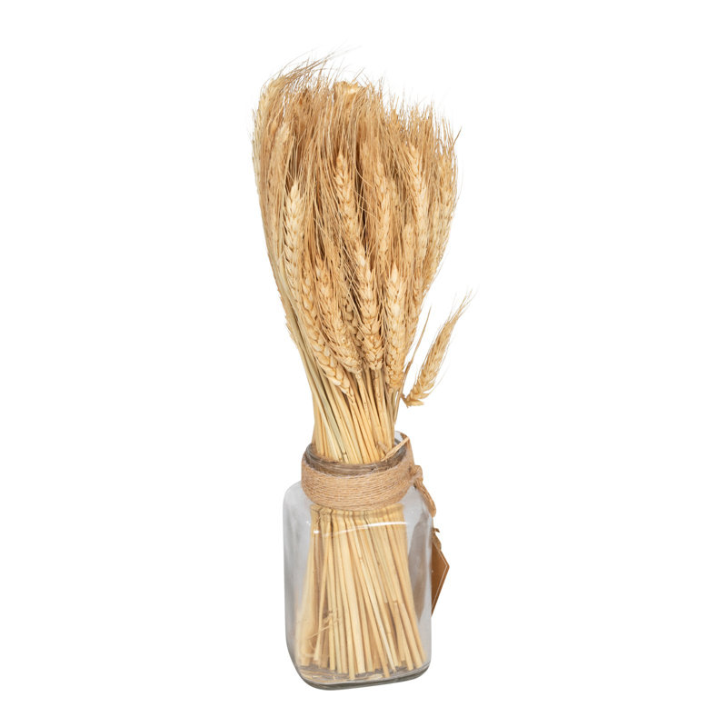Natural Fibres Dried Oat Arrangement in Jar