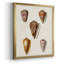 Toile encadrée de qualité supérieure Cone Shell Collection VI - prête à être accrochée-1162769908-1162769906
