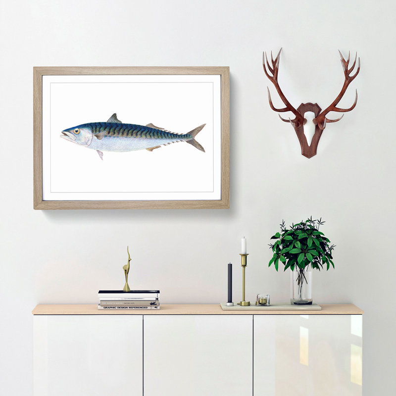 Mackerel Fish by Edward Donovan - Framed Print, 48cm H x 65cm W x 2cm D, Oak Framed