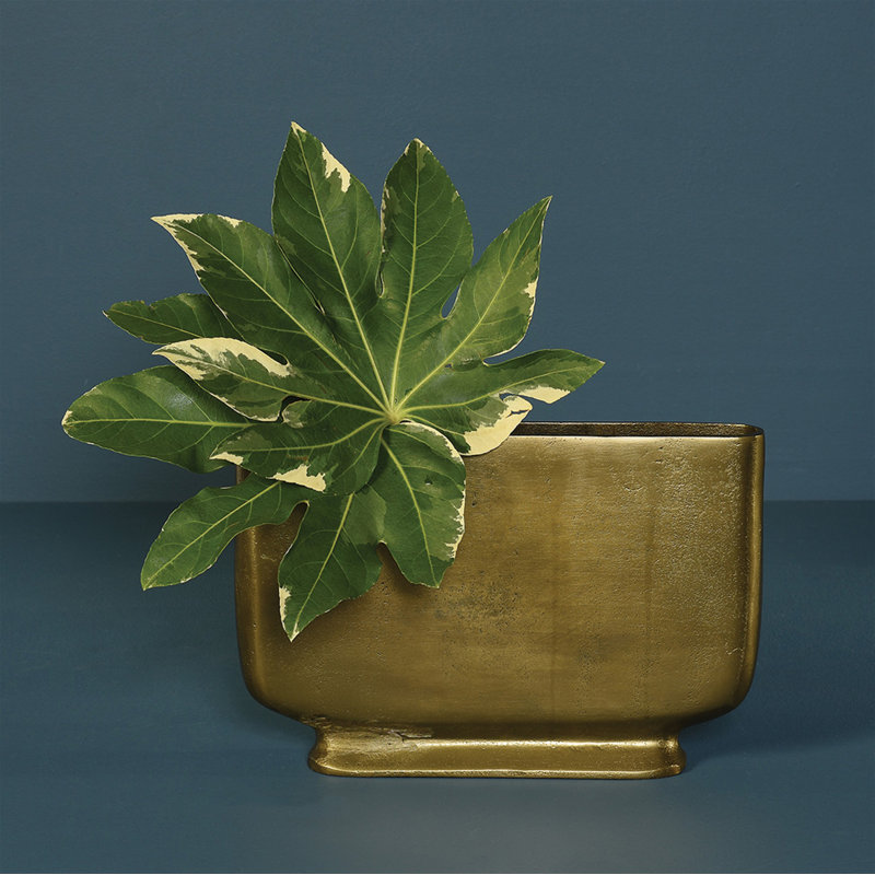 Mcinerney Metal Table Vase, 8.75" H x 13" W x 2" D