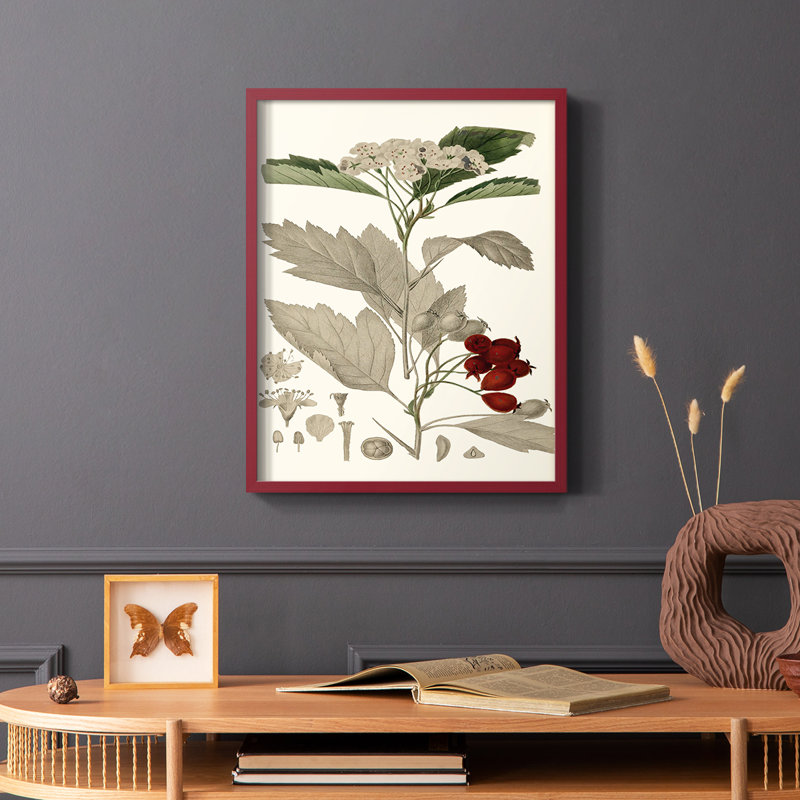 «Leaves & Berries I», reproduction encadrée - bois massif, Rouge, H 10 po x l 8 po