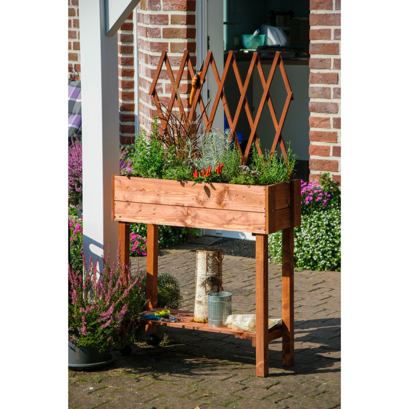 Elevated Planter with Trellis, Brown