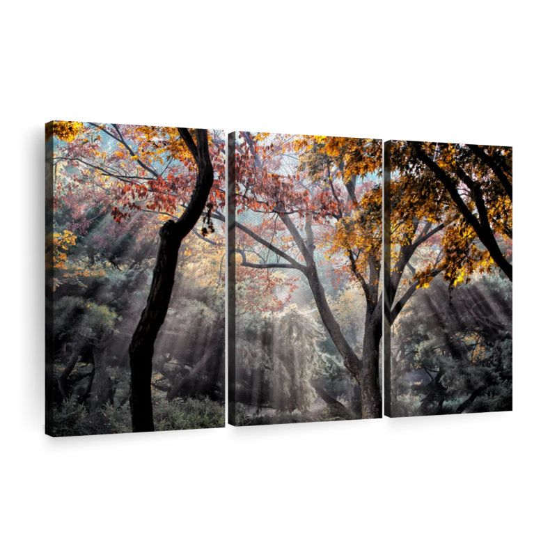 Rayons de soleil forêt 3 pièces, H 24 po x l 38 po x P 1,25 po