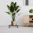 Plant Tray