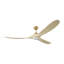 Ventilateur de plafond d'intérieur à DEL 70 Maverick avec tige filetée, pales et télécommande portable-195403782-195403780