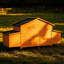 Grand poulailler en bois 70 ＂-47920192
