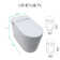 Smart Toilet With Bidet Built In