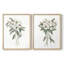 Impression encadrée Mountain Laurel I-Premium - prête à être accrochée - aucun clou requis - aucun clou requis-143280255