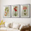 Botanical Array VI - Impression sur mesure encadrée de qualité supérieure - 3 pièces-1276371708