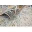 Tapis ivoire Anselmo-1065832176