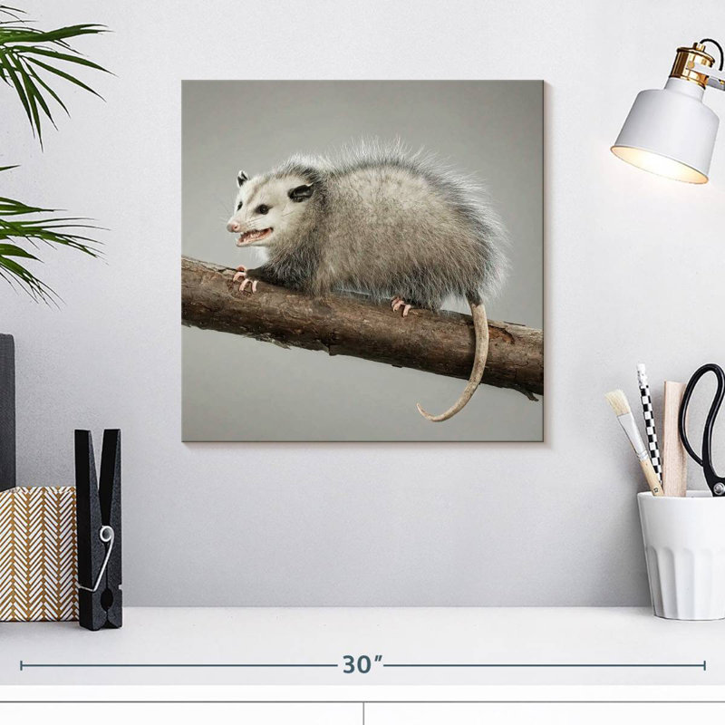 Brampt Snarky Opossum, 16'' H x 16'' W