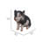 Sitting Baby Pig Statue-16443395