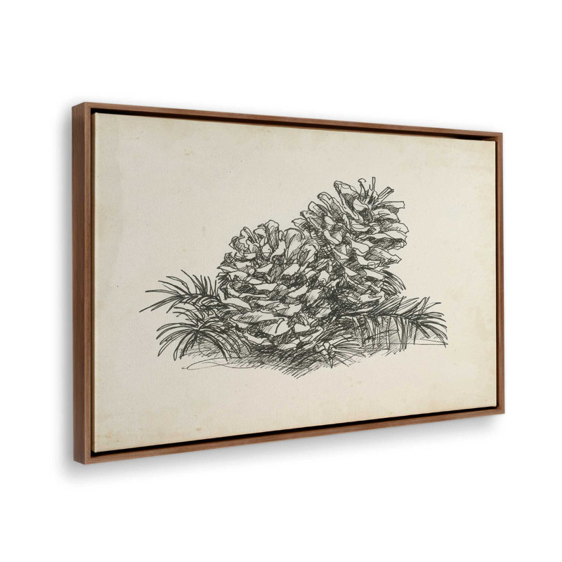 «Christmas Conifers I» par Ethan Harper, reproduction d'art sur toile, H 24 po x l 36 po, Brun