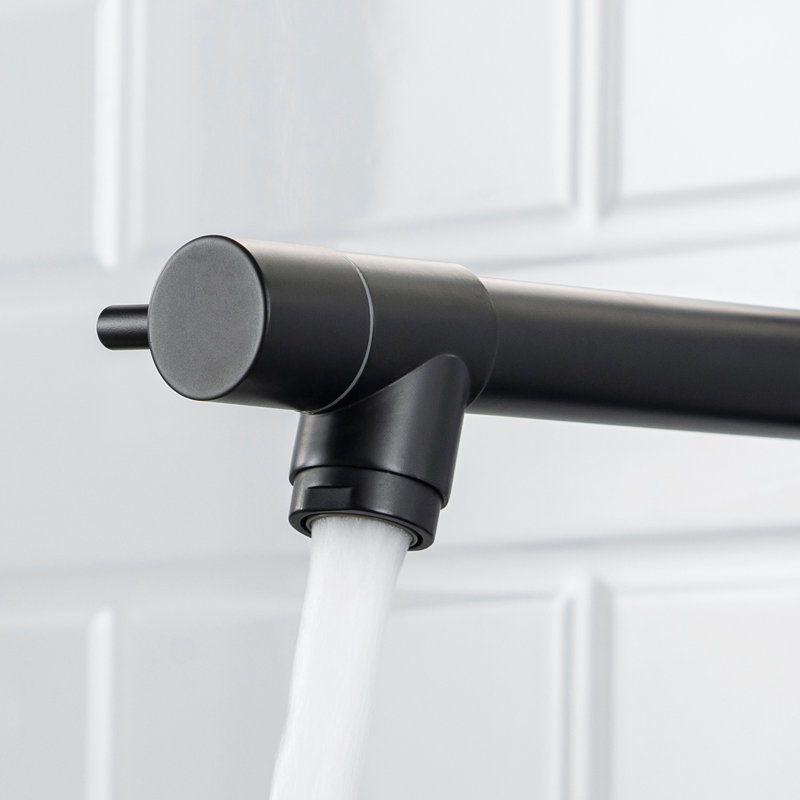 Heavy Duty Commercial Sink Faucet - Kitchen Pre-Rinse Single Handle Black Matte Style Filter, Matte Black