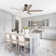 Akhavi Ceiling Fan with LED Lights
