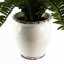 40cm Faux Plant in Ceramic Pot