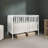 Synergy Convertible Crib-21577789