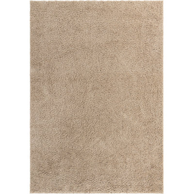 Indoor Rug
