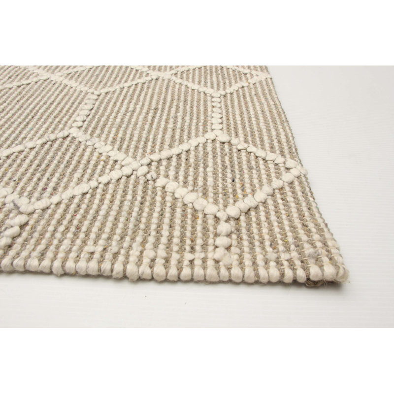 Hainer Performance Hand Braided Wool Geometric Rug