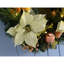 Lighted 60 cm Wreath