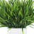 Grass Arranged in Square Planter