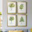 L'arbre I - ensemble de 4 reproductions d'art encadrées-1496819695-1506622937-1506622938